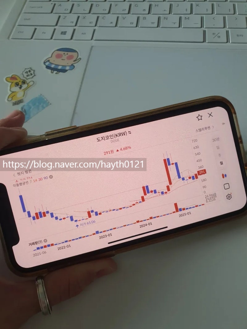 도지코인 왜 올랐나? 2025년 7월 상승 이유와 전망 총정리 : 네이버 블로그