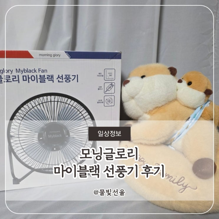  모닝글로리 마이블랙 선풍기 후기