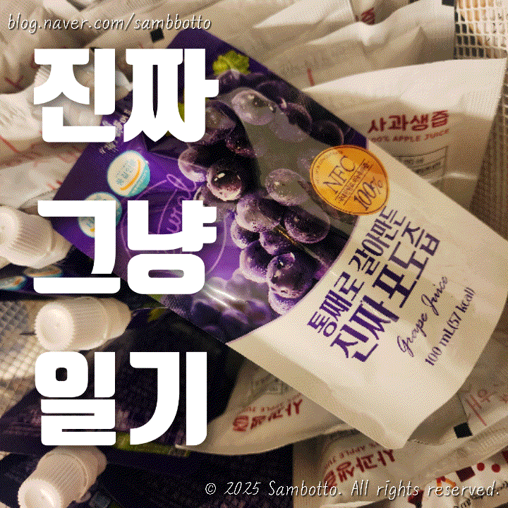  진짜 그냥 일기 | 병아리 콩 삶기, 직장인 도시락 일기, 세븐일레븐 간식 털기, 일상 블로그