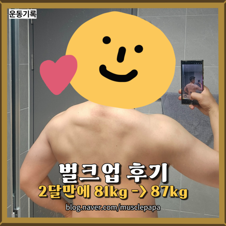  몸무게 6kg 증량. 2달에 걸친 벌크업 후기(81kg에서 87kg으로)
