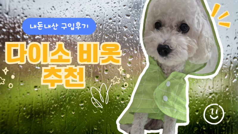 발견 한 조각- #3. 다이소 강아지 비옷 추천