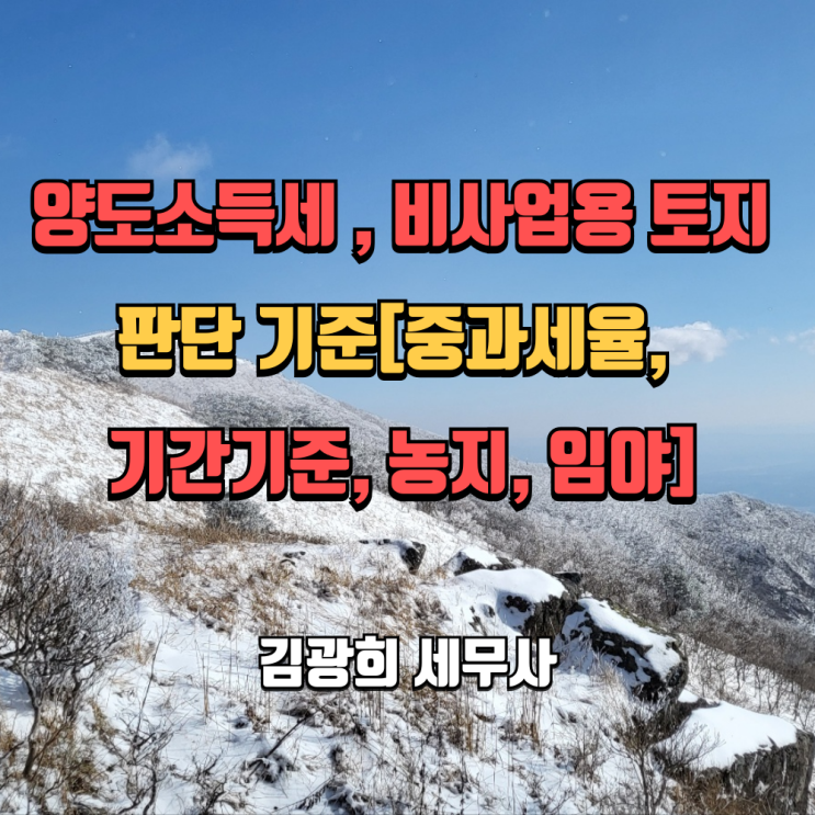  양도소득세 계산 시 비사업용 토지 판단 기준[중과세율, 기간기준, 농지, 임야]