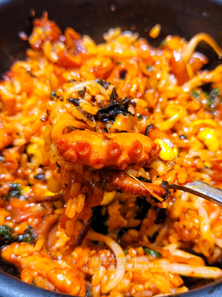  광주 상무지구 한식 맛집 추천 더솥 낙지볶음 비빔밥 내돈내산