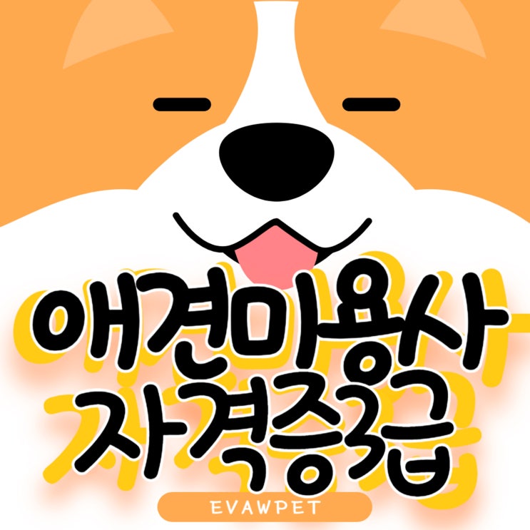  애견미용자격증3급, 반려동물 전문가의 첫걸음