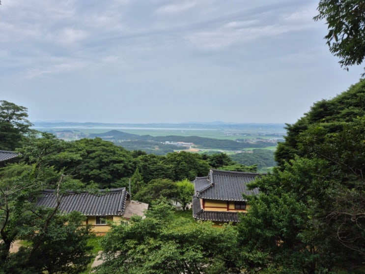  충남 서산 가볼 만한 곳 수국 명소 부석사 후기