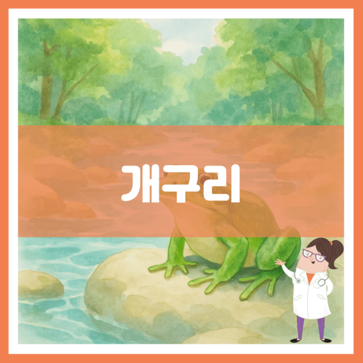  개구리 효능 부작용 먹는 방법