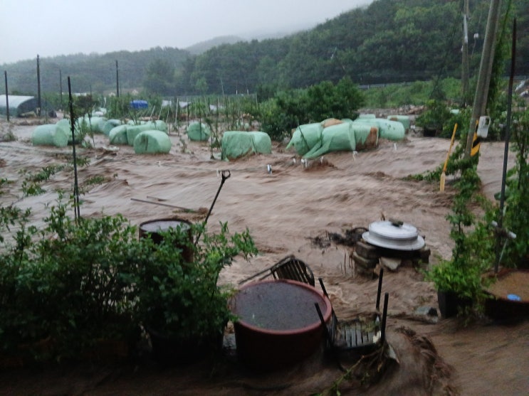 ‘200년 만의 <b>폭우</b>’에 <b>충남</b> 초토화… 하천 범람·<b>산사태</b>에... 