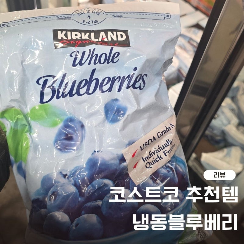 코스트코 냉동블루베리 세척 방법과 활용법까지