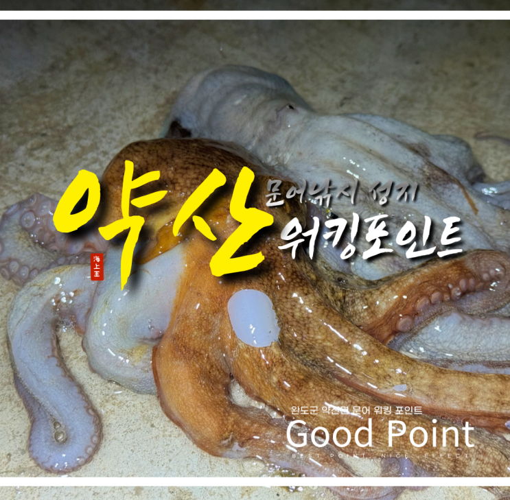  약산 문어낚시 워킹 포인트 정리