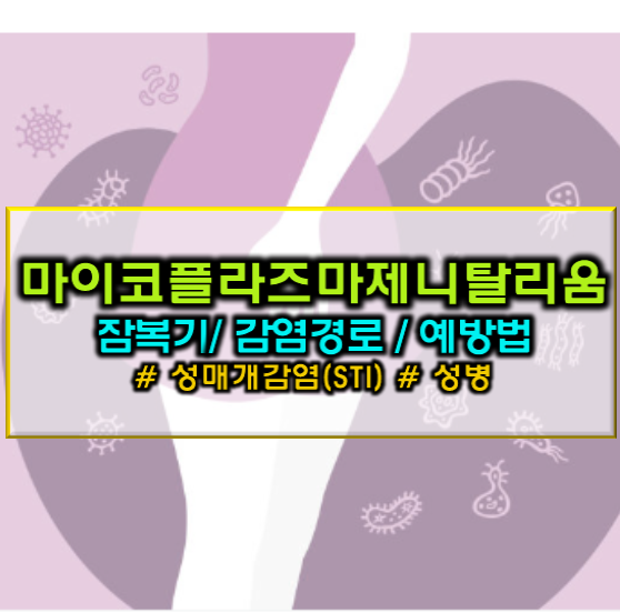 마이코플라즈마 제니탈리움 잠복기 전염 경로 예방법 요약