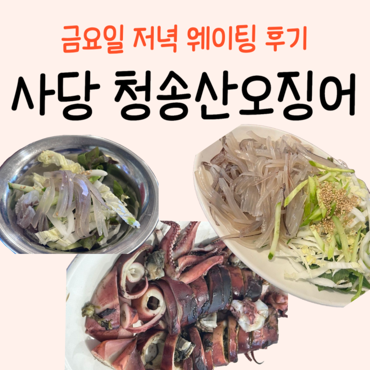  [사당] 금요일 저녁 웨이팅 각오하고 방문한 후기 | 청송산오징어