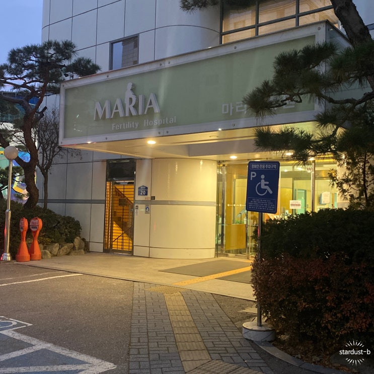  #임신일기- 임신 초기 10주 난임 서울 마리아 병원 진료, 난임병원 졸업, 12주 니프티 검사까지