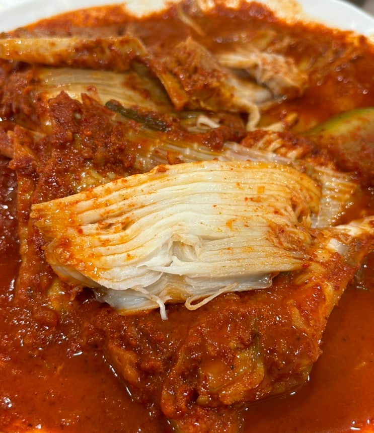  강릉 이모네 생선찜 내돈내산 추천 예약전화 필수
