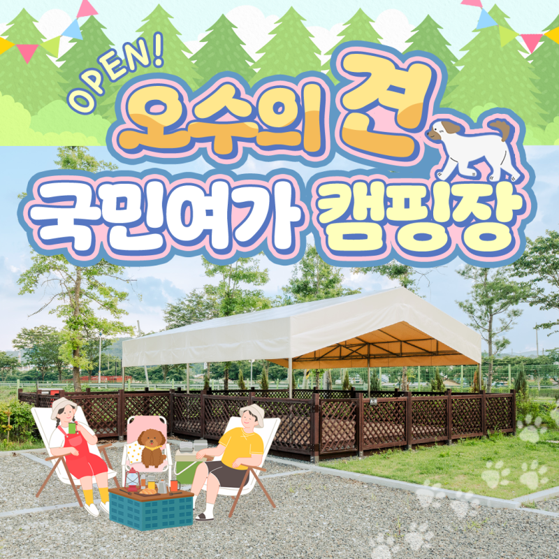 사진 12