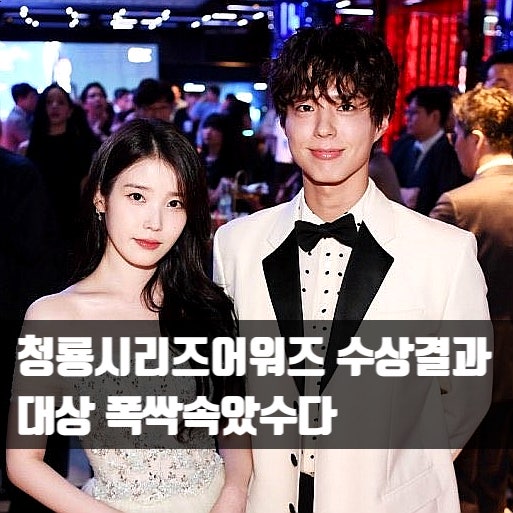 수상자 결과 후보 대상 <b>폭싹속았수다</b> ft. <b>이준영</b> 이준혁