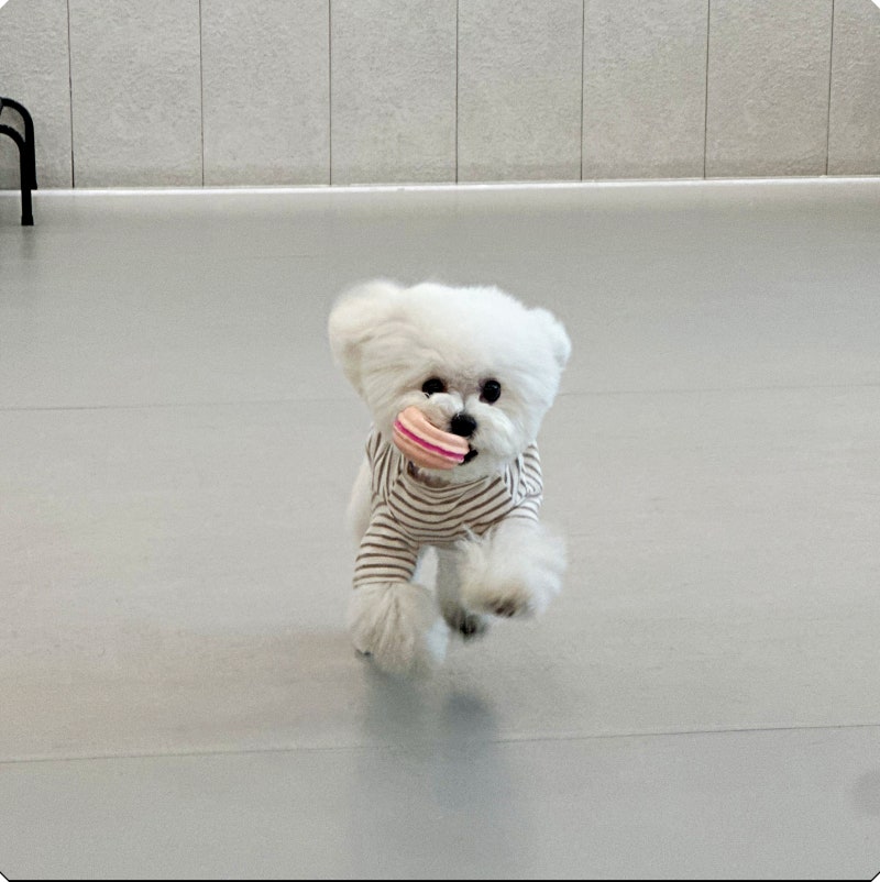 사진 2