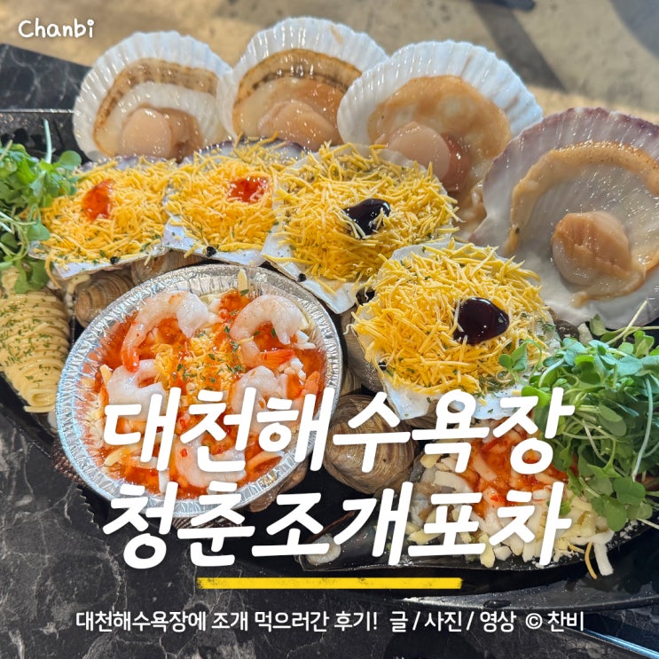  대천해수욕장 바다뷰 "청춘조개포차" 조개구이 무한리필 내돈내산 후기