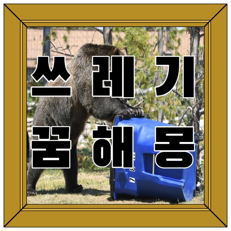 쓰레기 꿈해몽, 휴지 꿈해몽 꿈에서 쓰레기와 휴지통이나 휴지 나온 꿈