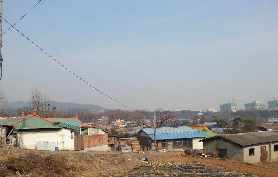 오동골 사진 2