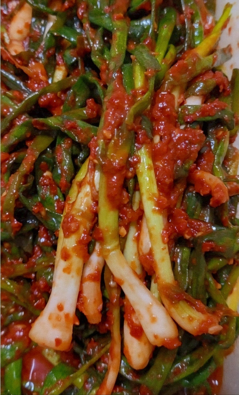 전라도 파김치 이렇게 다르다! 여수 쪽파김치 담그는 시기부터 숙성까지