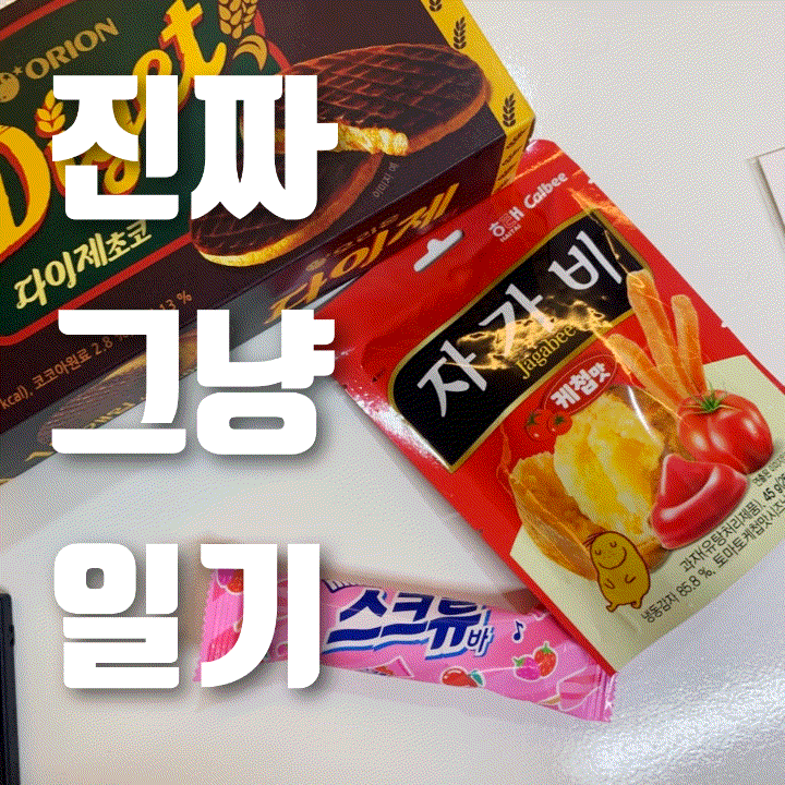  진짜 그냥 일기 | 기분 좋은 하루의 마무리! 드디어 발견한 다이소 진공용기 압축기, 미니 스크류바