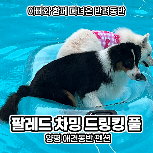 사진 2