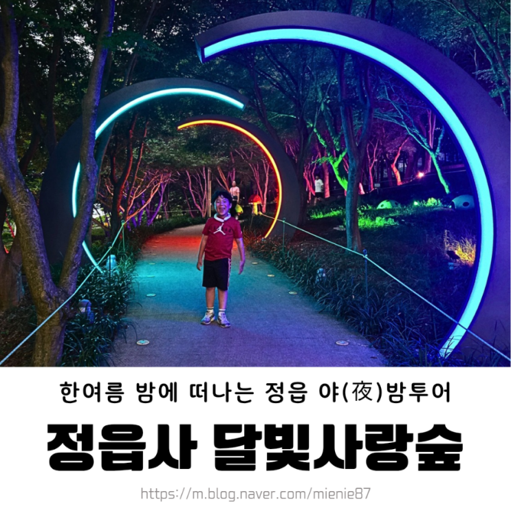  정읍 야밤투어 3 / 정읍사 달빛사랑숲 미디어아트 운영 시간