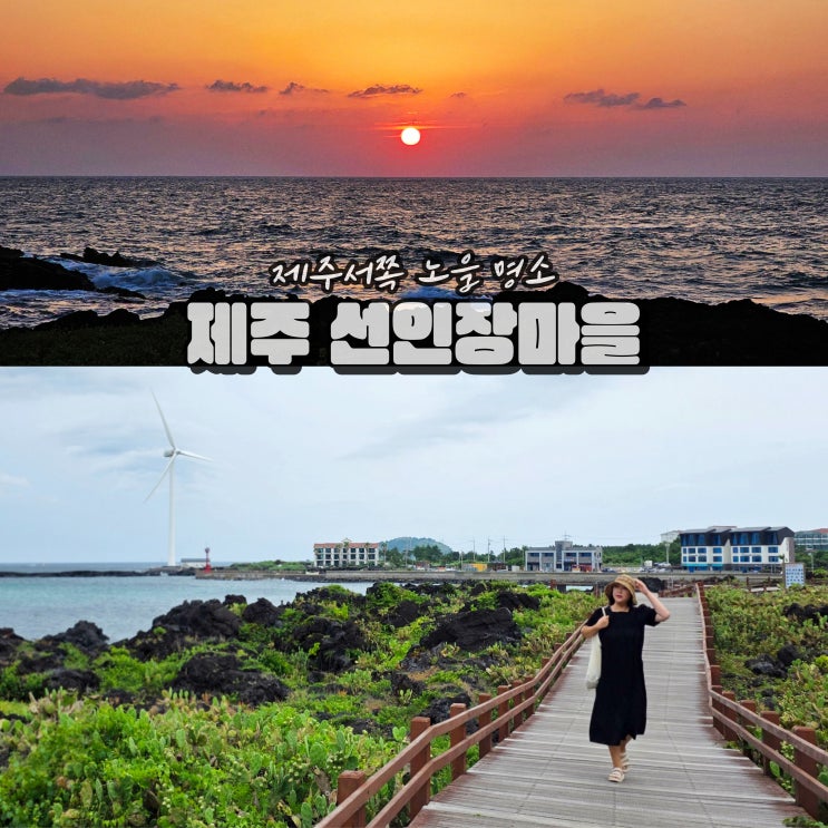 제주 서쪽 일몰 명소 여름 관광지 월령리 선인장 군락지