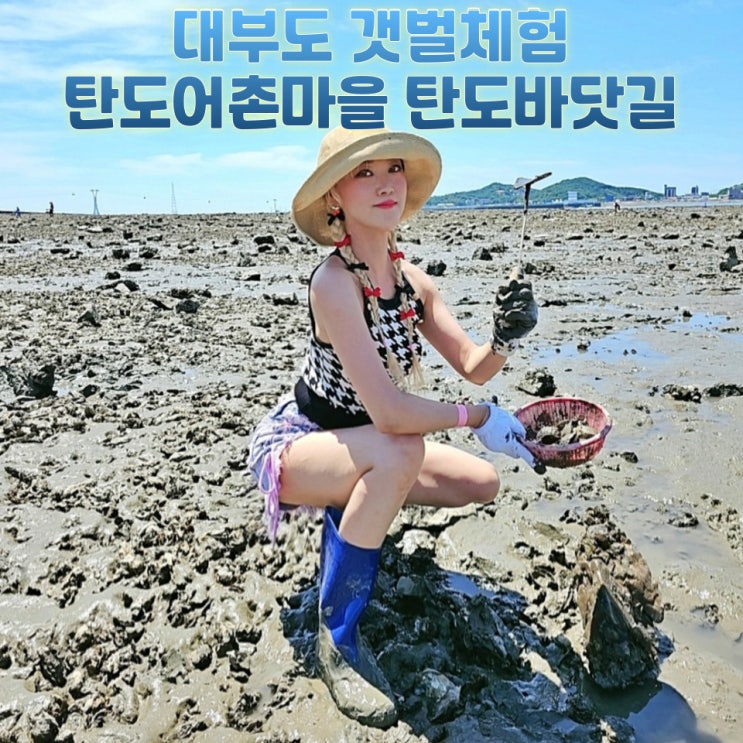  대부도 갯벌체험 탄도바닷길 걷기 탄도항 물때표 당일치기 코스 총정리