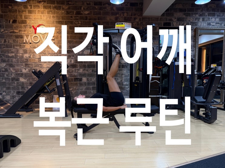  부천역pt 직각어깨, 복근 루틴