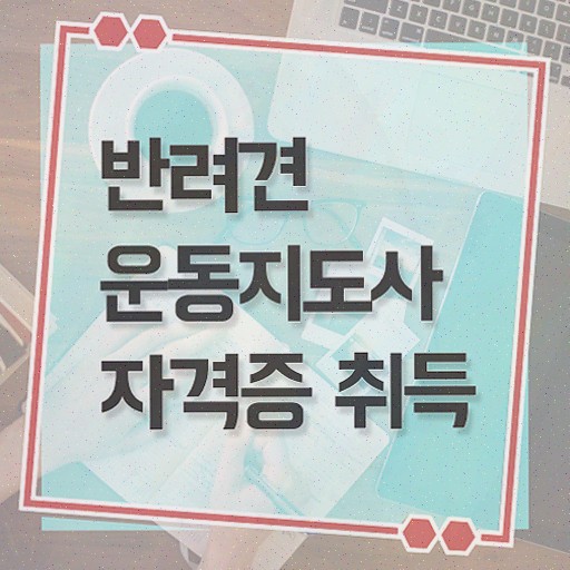  , 반려견운동지도사 고졸 비전공자도 단기간에 끝낼수 있었던 팁