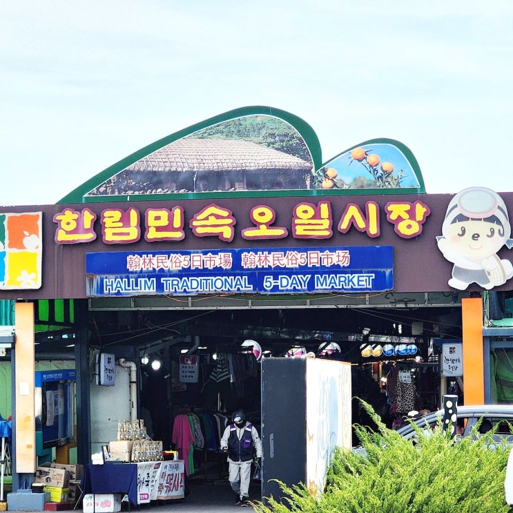  제주도 한림민속오일장 한림읍 장날에 방문해 한라봉 서울택배배송