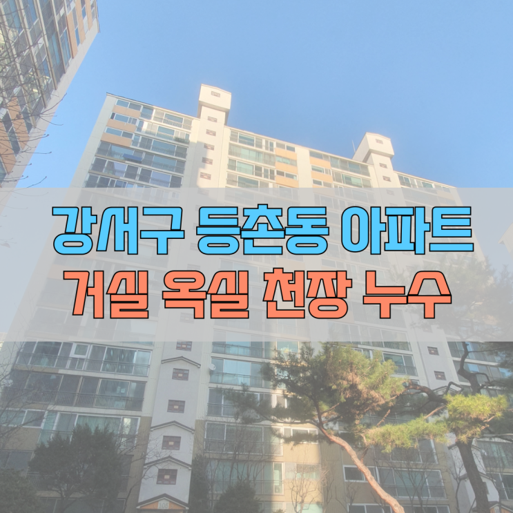  # 강서구 등촌동(강서로) 등촌아파트 욕실 누수 #