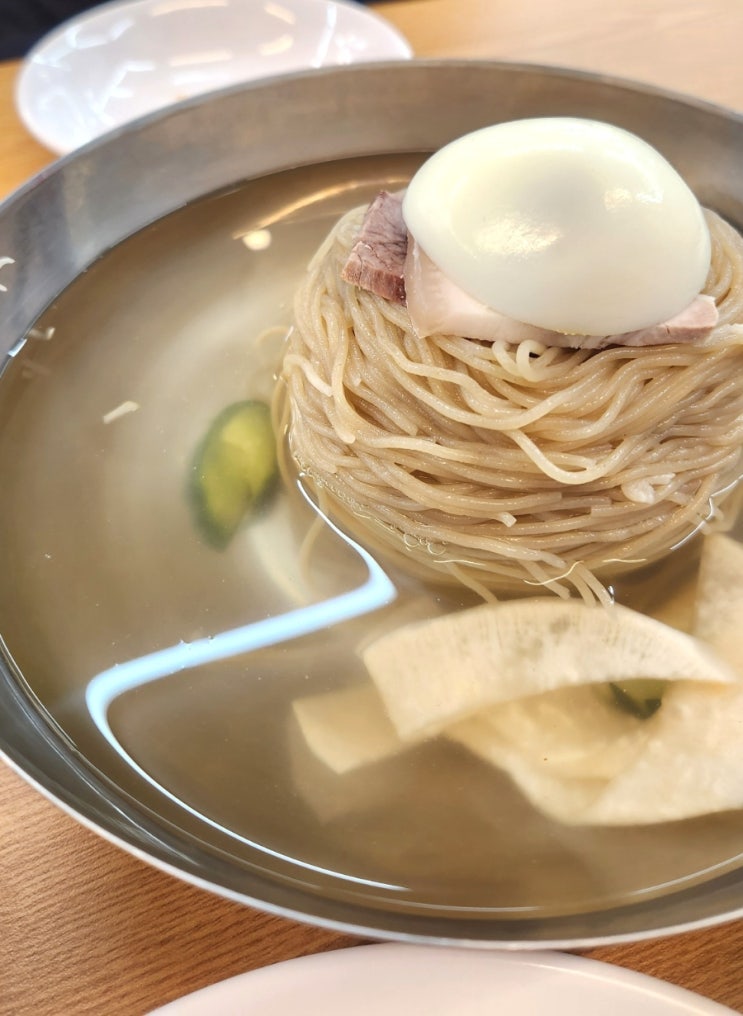  [강남 평양냉면 맛집] 진평면옥 – 물냉면, 비빔냉면, 제육 후기 (역삼역 냉면, 만두, 어복쟁반 회식장소 추천)