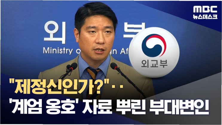 외교부 부대변인, <b>계엄 옹호</b>는 사적 행위?…진실 공방과 파장