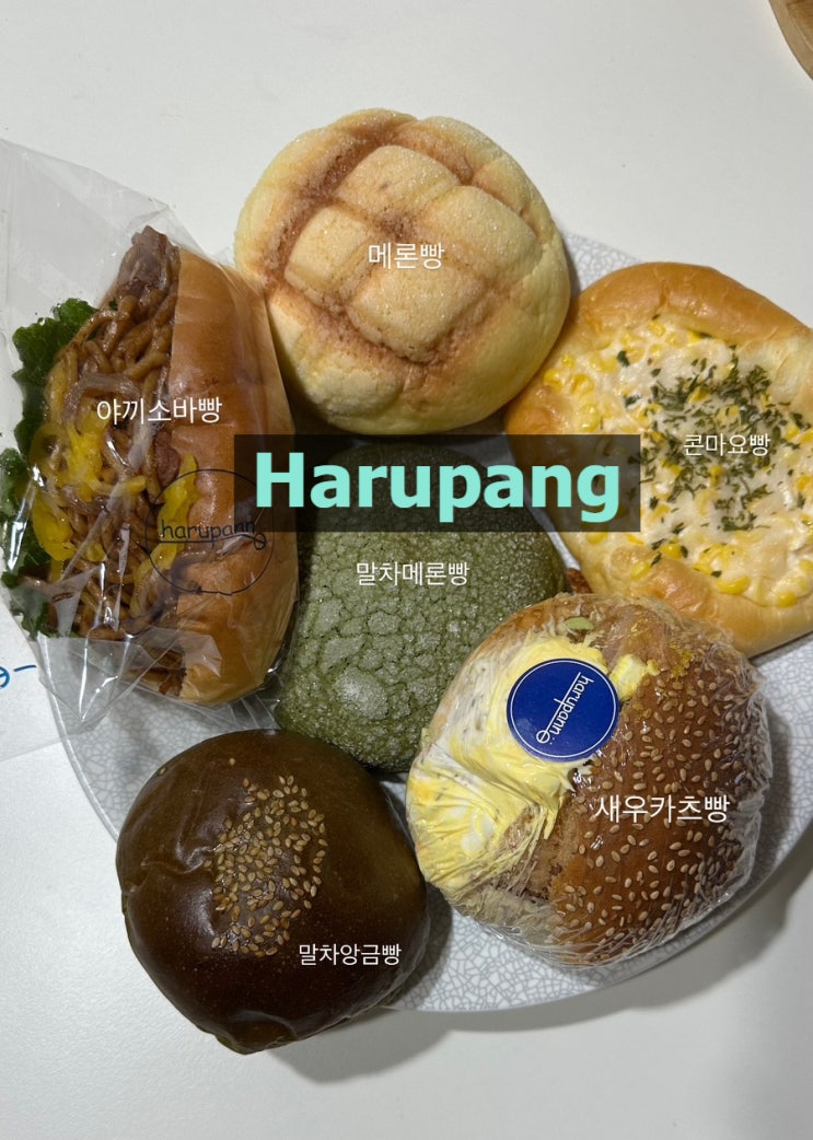 [하루팡 베이커리]대전 또간집 나온 곳, 대전 빵지순례 빵투어 추천코스,내돈내산 하루팡 추천메뉴