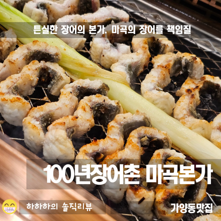  가양동맛집 100년장어촌 마곡본가 튼실한 자포니카 무항생품종