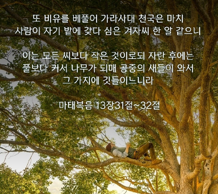  “겨자씨의 믿음으로 시장을 살아내는 투자자의 길”