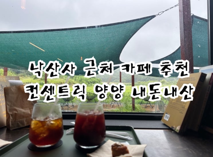  컨센트릭 양양 카페 내돈내산 솔직후기