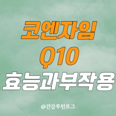 코엔자임Q10 효능과 복용법, 고혈압 관리까지 – 코큐텐 부작용과 주의사항 총정리
