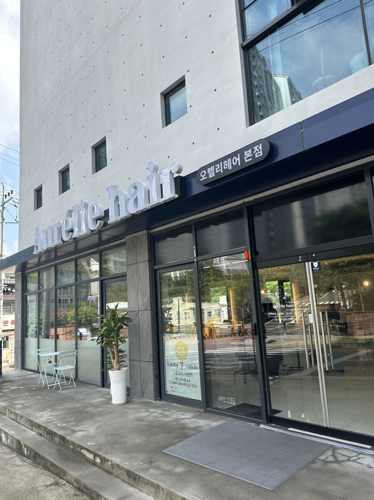  대구남산동미용실 오렐리헤어: 해드스파와 모발클리닉을 all in one 으로 즐기기!
