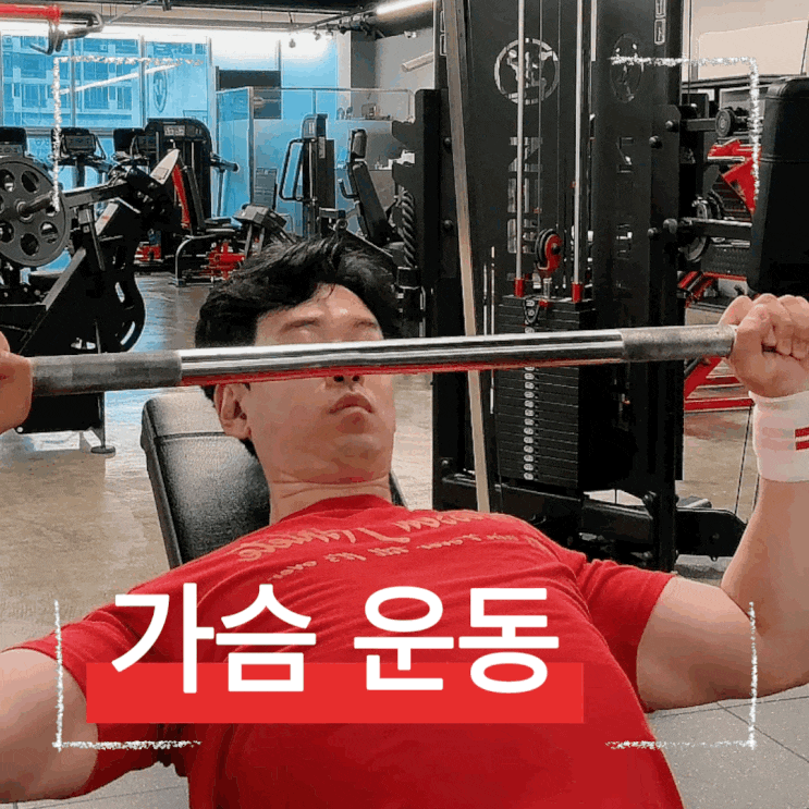  벤치 각도부터 손목 각도까지! 머신 인클라인 벤치프레스 상부 가슴 운동방법