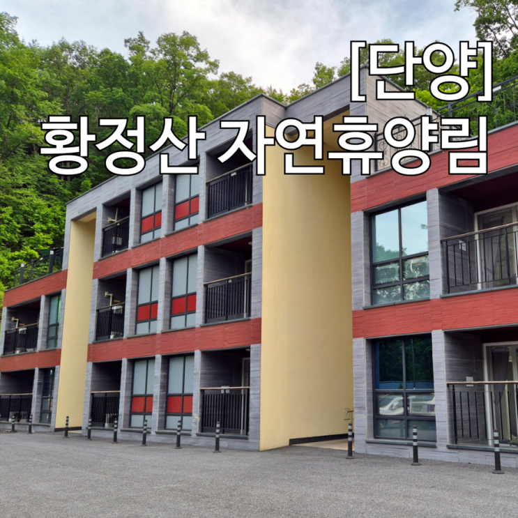  단양 황정산 자연휴양림 휴양관 하선암 성수기 주말 다자녀 할인 후기 줍줍 꿀팁