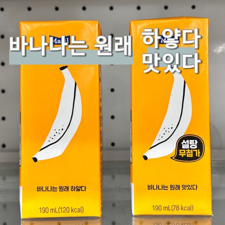  바나나는 원래 하얗다 맛있다 무설탕 가격 라떼 만들기