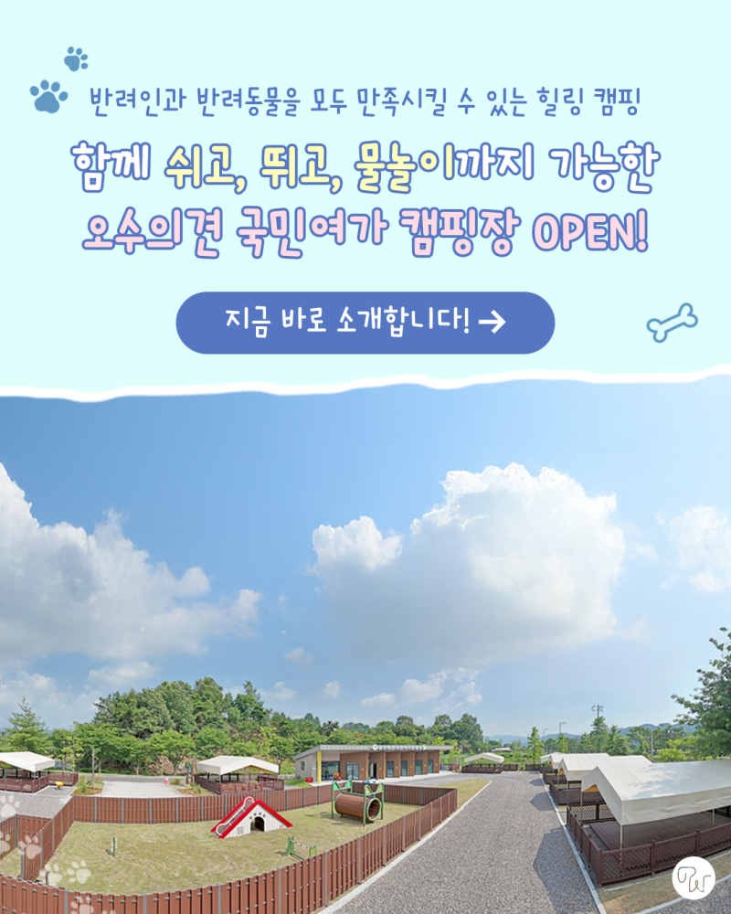 사진 13