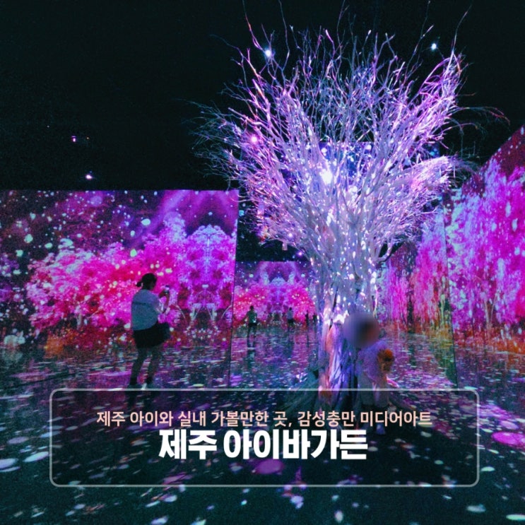  제주 아이와 함께 가기 좋은 실내 명소 제주실내가볼만한곳 아이바 가든