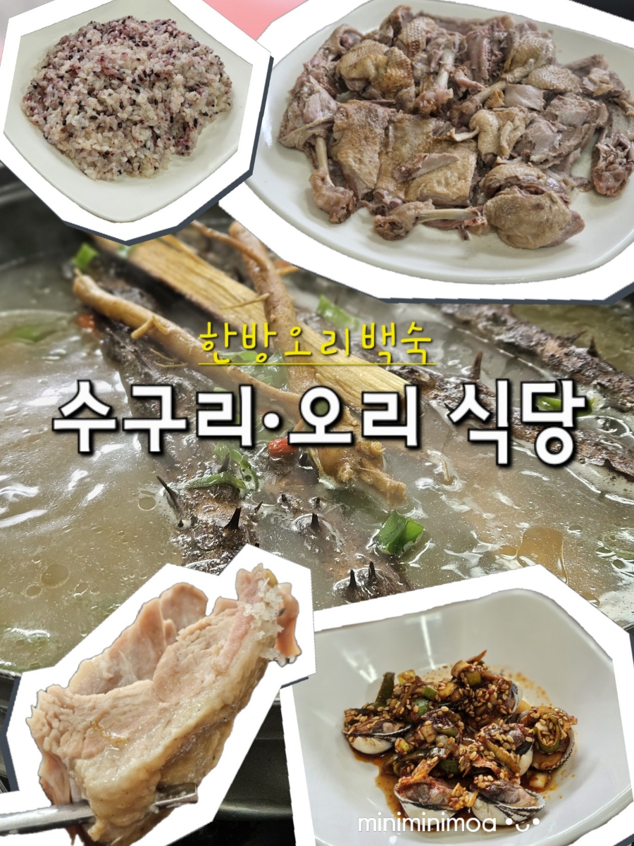 수구리오리 사진 1