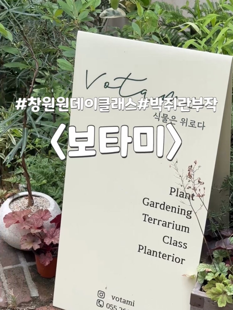  창원플렌테리어 박쥐란부작 원데이클래스 : 보타미