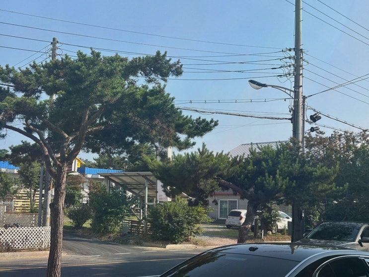 사장님의 친절함과 아름다운 오션뷰의 태안커플펜션에서의 특별한 힐링 경험