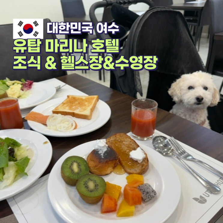  여수 애견동반 숙소 유탑 마리나 호텔 조식 헬스장 수영장 후기